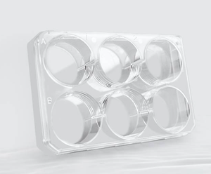 Plat Kultur Bakteri dengan Dasar Rata, Dasar Runcing, Dasar Bulat - Product Image 1