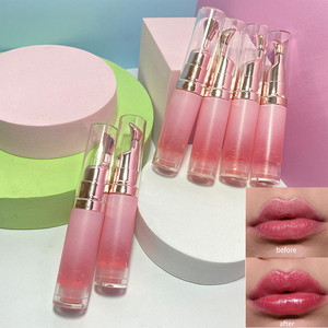 Huile pour lèvres repulpante en gros, logo personnalisé avec boîte, étiquette privée personnalisée, huile pour lèvres hydratante végane - Product Image 1