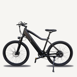 Bicicleta Eléctrica Wanderer Eel con Batería en el Tubo Inferior, Alcance de 40 km, 350w, Disco de Litio, 7 Velocidades, para Desplazamientos Diarios y Paseos de Ocio - Product Image 1