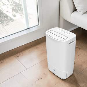 Purificador de Aire y Deshumidificador DDM con Certificación CE para Dormitorio, 10L, Temporizador, Silencioso, Personalización Disponible - Product Image 1