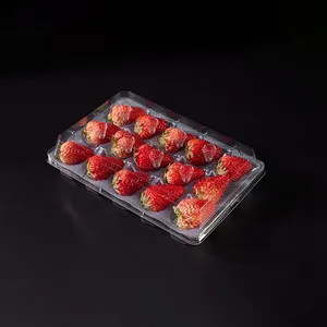 Disposable Plastic PET PP Strawberries Boxes Hinged Lid Togo Containers Bakery for Food Clamshell Packaging PET Box Container