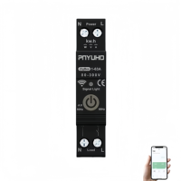 Mini interrupteur intelligent 1P 63A Zigbee télécommande disjoncteur de récupération Alexa Google Home Compatible pour Smart Home Rail DIN
