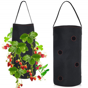 Sacs de <span class=keywords><strong>plantation</strong></span> de fraises <span class=keywords><strong>en</strong></span> feutre suspendus <span class=keywords><strong>en</strong></span> gros, sacs de <span class=keywords><strong>plantation</strong></span> de jardin de beauté pour fraises - Product Image 4