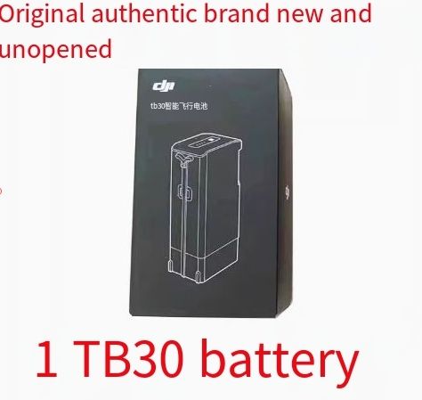 1 TB30 battery