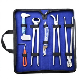 Kit Profesional de Herramientas para el Cuidado de Pezuñas de Caballos, 6 Piezas, Cuchillo para Pezuñas de Hoja Recta, Pinza para Clavos, Sacacorchos, Pulidor, Bolsa de Transporte - Product Image 1