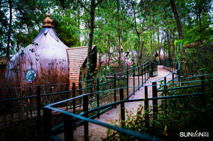 กระท่อมไม้รูปถั่วบ้านรีสอร์ทพร้อมกระเบื้องเหล็กสีหรูหราหลังคาแหลมกระท่อมล็อกสำหรับการตกแต่งภายนอกอาคารในโรงแรม - Product Image 4