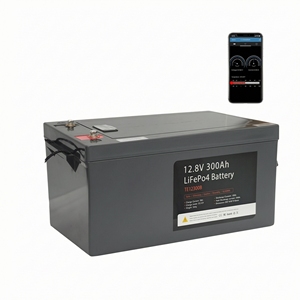 24V 200Ah Deep Cycle Solar Inverter <b>Battery</b> <b>12V</b> 300Ah 400Ah 500Ah Lithium Ion <b>Battery</b> for Car/camper Van / RV <b>Battery</b> - Product Image 1