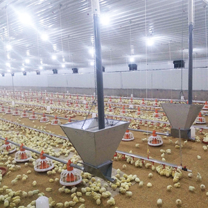 Hoàn Chỉnh Tự Động Gà Thịt Lớp Thiết Bị Nhà Thức Ăn Nuôi Gà Gia Cầm Nhà Máy Lớn Lớn Lớn Thiết Bị Sàn Trang Trại Hệ Thống Máy - Product Image 2