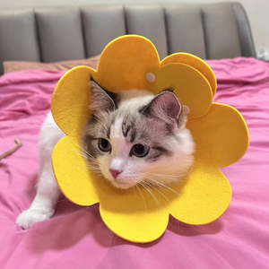 伊丽莎白锥猫手术后保护项圈防舔猫狗护颈 - Product Image 4