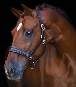 Harnais de tête en cuir véritable de qualité supérieure pour chevaux, pour la compétition équestre, noir, marron, logo personnalisé HE6988, harnais de tête en cuir - Product Image 2