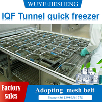Congelador de Túnel IQF Automático Industrial para Carne de Camarón