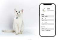 Etiqueta de Collar para Mascotas con Código QR NTAG 216 de 888 Bytes, Etiqueta RFID NFC de Epoxi para Animales, Precio de Fábrica