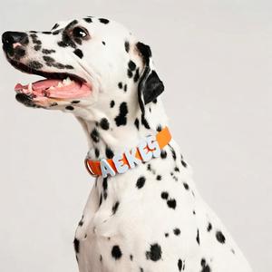 Персонализированные силиконовые подвески-колокольчики в форме крыльев для ошейников/поводков для собак оптом с клипсой для поводка, пищевой силикон - Product Image 3