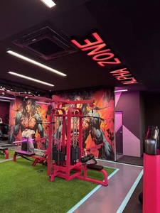 Machine à tirer vers le bas (Lat Pulldown) à charge libre SK Commercial, en acier Q235 de 3,0 mm, avec bras déviateurs indépendants, pour rack d'entraînement de force en salle de sport - Product Image 6