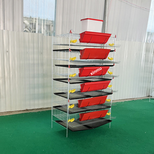 <span class=keywords><strong>Gabbie</strong></span> a batteria <span class=keywords><strong>per</strong></span> <span class=keywords><strong>quaglie</strong></span> di alta qualità tipo H in rete metallica <span class=keywords><strong>per</strong></span> la produzione di uova, <span class=keywords><strong>gabbie</strong></span> a 6 livelli <span class=keywords><strong>per</strong></span> <span class=keywords><strong>quaglie</strong></span> in vendita - Product Image 2