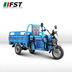 3 Wheeler Electric Motorcycle For Cargo Delivery 1000w Range 100km Big Box Moped Motorcycles Electric Tricycles