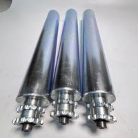 Galet de convoyeur non motorisé en acier inoxydable, axe de rouleau galvanisé pour convoyeur à bande, rouleau de déchargement