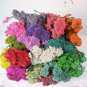 Rames de fleurs de cerisier séchées naturelles et préservées pour l'aromathérapie, <span class=keywords><strong>la</strong></span> photographie, les mariages, <span class=keywords><strong>la</strong></span> décoration de <span class=keywords><strong>la</strong></span> maison et du bureau - Product Image 2