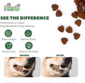 OEM/ODM Marca Privada: Masticables Dentales Blandos para Perros, Suplemento para la Salud Bucal con Mezcla Herbal Natural y Probióticos - Product Image 2