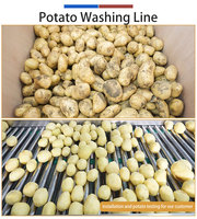 Automatische aardappelverwerkingslijn: aardappelvoeding, schillen, wassen, drogen, sorteren, machine, op maat gemaakte installatie, 0,5-1T/H, hoge capaciteit