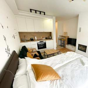 Standard moderne Hôtel et Appartement <span class=keywords><strong>Mini</strong></span> kitchenette Conceptions modulaires Petites armoires de <span class=keywords><strong>cuisine</strong></span> - Product Image 6