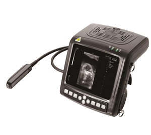 Échographie vétérinaire portable de ferme pour scanner à ultrasons vétérinaire mouton chèvre cheval chien - Product Image 1