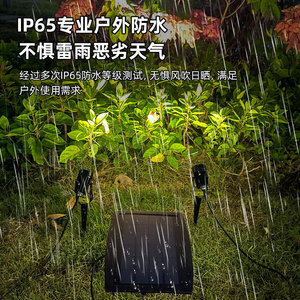Lampe solaire à double tête pour cour extérieure, projecteur de pelouse à montage au sol, éclairage <span class=keywords><strong>LED</strong></span> <span class=keywords><strong>extérieur</strong></span> à commande par capteur de lumière pour jardin, vente en gros - Product Image 3
