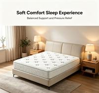 Matelas en mousse Queen Size en boîte, vente en gros, nouveaux matelas orthopédiques en latex, ressorts ensachés, mousse à mémoire de forme en gel