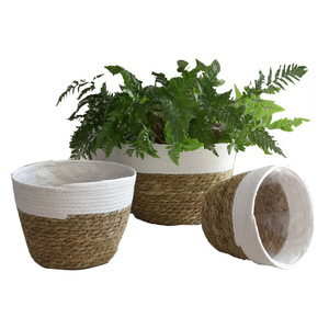 Pots à fleurs tressés en paille, paniers à fleurs, plantes succulentes en pot, plantes vertes, artisanat tressé en algues marines, articles tressés transfrontaliers - Product Image 1