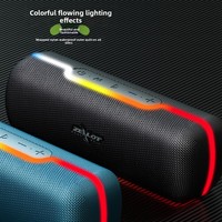 ZEALOT S55 Portable pour haut-parleur Bluetooth sans fil RGB LED éclairage alimenté par batterie vente chaude pour la maison et l'extérieur