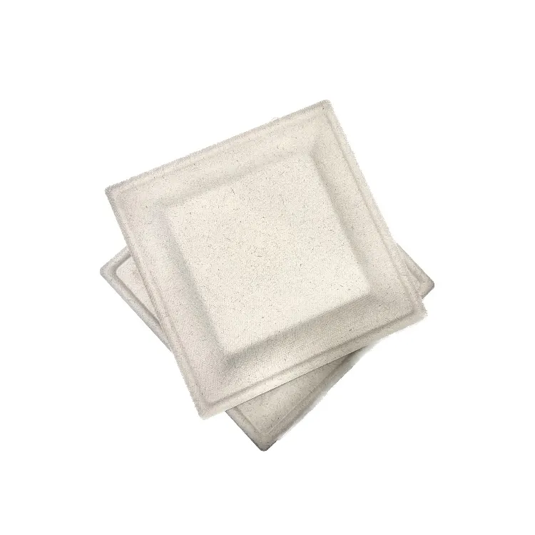 使い捨てサトウキビ紙皿天然バガスプレート生分解性プレート