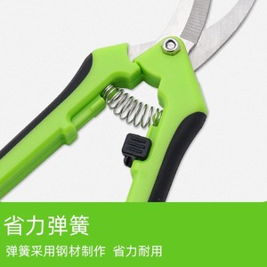 Jolies cisailles de jardinage en acier inoxydable à tête courbée et ressort intégré pour tailler et couper - Product Image 4