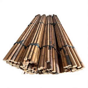 Canne de rotin pleine, sablée, de qualité supérieure, droite, sans fissures, traitée anti-moisissure, qualité mobilier, pour structure de chaise et de canapé - Product Image 1