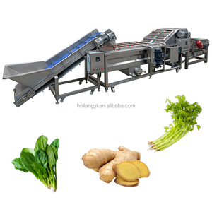 Équipement <span class=keywords><strong>de</strong></span> nettoyage pour citrouilles et autres fruits et légumes en acier inoxydable 304 - Product Image 2