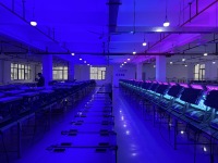 Projecteur de haute qualité à effet flamme 150W DMX 512, machine à colonne de feu pour extérieur, scène et parc à thème