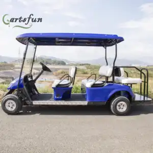 2023 Off-road tipo carrinho de golfe elétrico elétrico Golf Buggy Sightseeing ônibus para venda