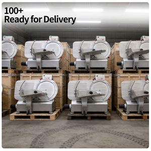 Trancheuse à viande congelée électrique en acier inoxydable de 10 pouces pour boucheries et cuisines - Product Image 5