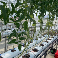Crochet de suspension en métal pour la culture hydroponique de gouttière de substrat