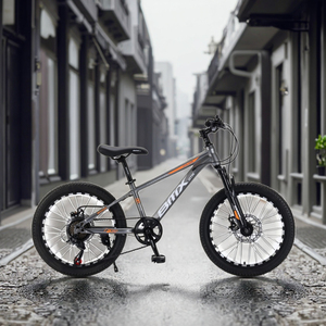 Naixin nhà máy nóng bán tùy chỉnh OEM bán buôn 20 inch MTB 7 tốc độ đôi ĐĨA PHANH nhôm khung xe đạp leo núi - Product Image 1