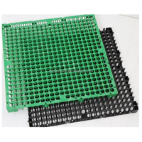 Placas de drenaje de celda de drenaje de plástico de 30mm para tablero de drenaje de jardín de techo de golf de césped artificial