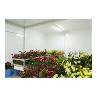 Soluciones de Cámara Frigorífica para la Conservación de Flores Frescas, Soluciones Avanzadas de Almacenamiento en Frío para Flores Frescas y Productos Florales