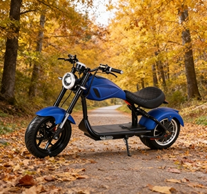 Scooter électrique Citycoco US Warehouse 60V à batterie longue durée et pneus larges, City <span class=keywords><strong>Coco</strong></span> <span class=keywords><strong>2</strong></span> places avec COC - Product Image 1