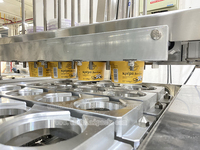Machine d'emballage de remplissage et de scellage automatique pour la crème glacée et le yaourt grec
