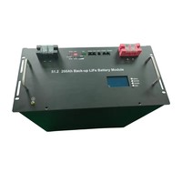 Baterai Rak Server LiFePO4 ESS 51.2V 100Ah 200Ah 300Ah dengan CAN/RS485 untuk Penyimpanan Energi Surya Rumah Tangga