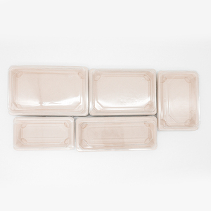 Phân hủy sinh học mía bã mía thực phẩm Sushi khay thân thiện với môi compostable dùng một lần OK-compost chứng nhận cắm trại sử dụng - Product Image 2