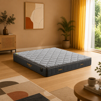 Matelas à ressorts pour hôtel - Design moderne et minimaliste abordable, 200 mm d'épaisseur, fermeté douce idéale pour les chambres à coucher et les maisons d'hôtes