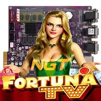 Fortuna TV Oyunu Anakartı Yüksek Stabilite Beceri Oyunu Yazılımı Metal Plastik Yapı Şarj Edilebilir Pil USB Bağlantısı