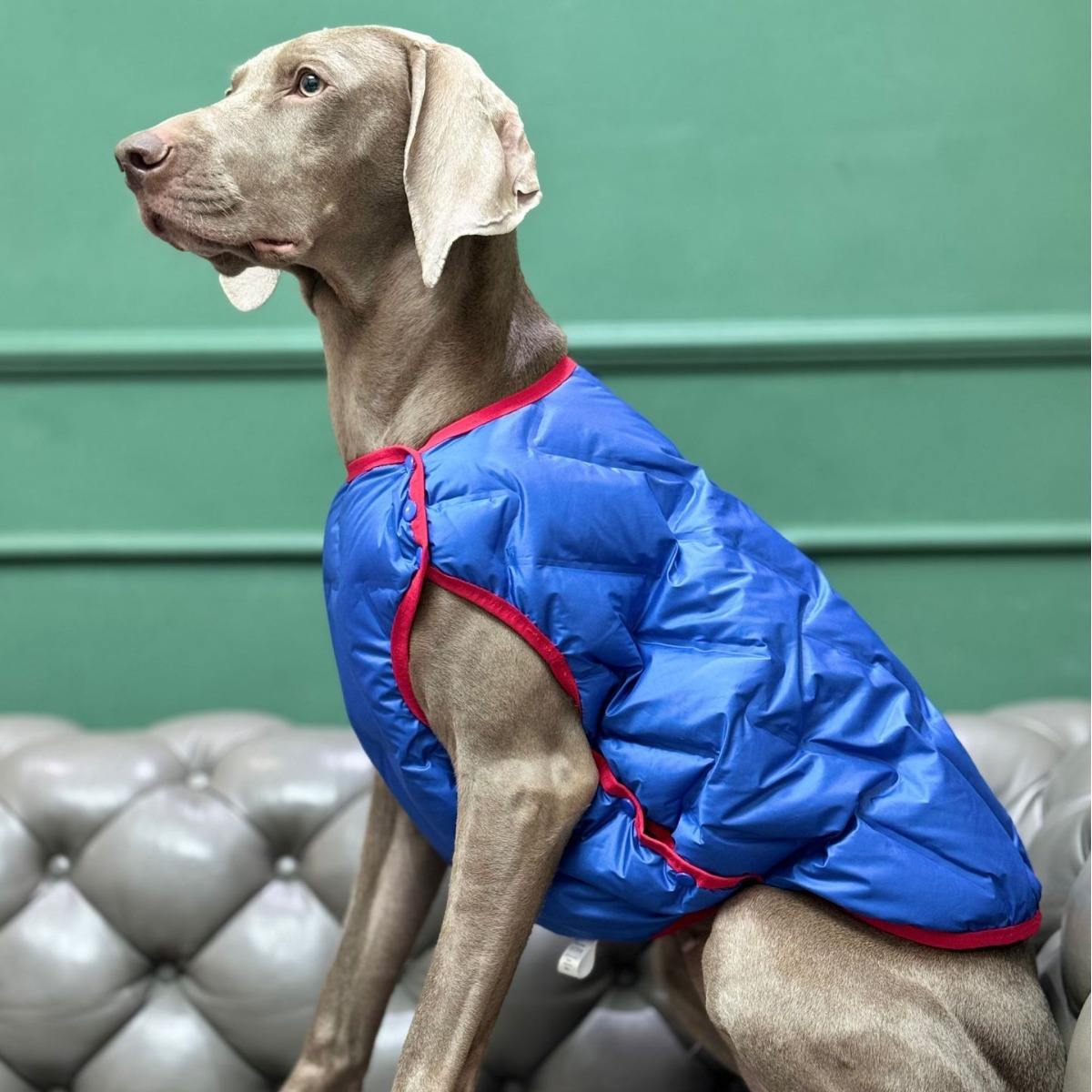 สีชมพูและสีเทา