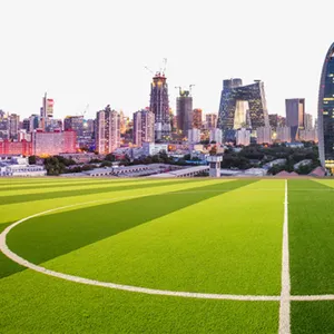 Terrain de Futsal Terrain de football Gazon artificiel Revêtement de sol sportif Gazon de football