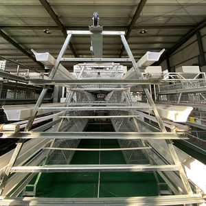 <span class=keywords><strong>Cage</strong></span> à poules pondeuses de type A, cages pour poules pondeuses, <span class=keywords><strong>cage</strong></span> à poules pondeuses en acier galvanisé à chaud semi-automatique pour 100 à 500 oiseaux - Product Image 3